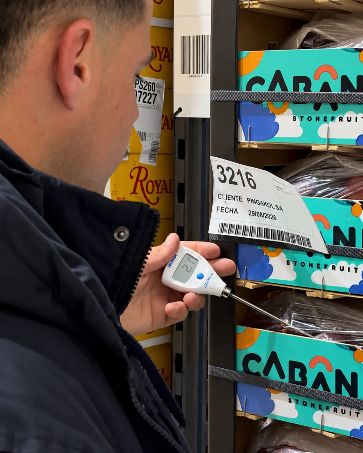 Operario midiendo la temperatura de pulpa de un producto con un termómetro digital